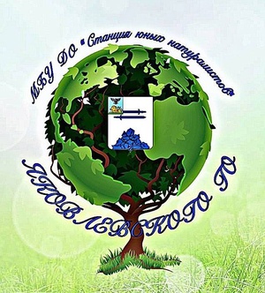 Ссылка на группу в контакте