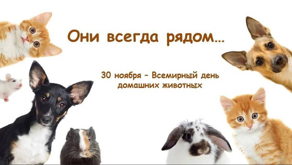 Дни животных в календаре